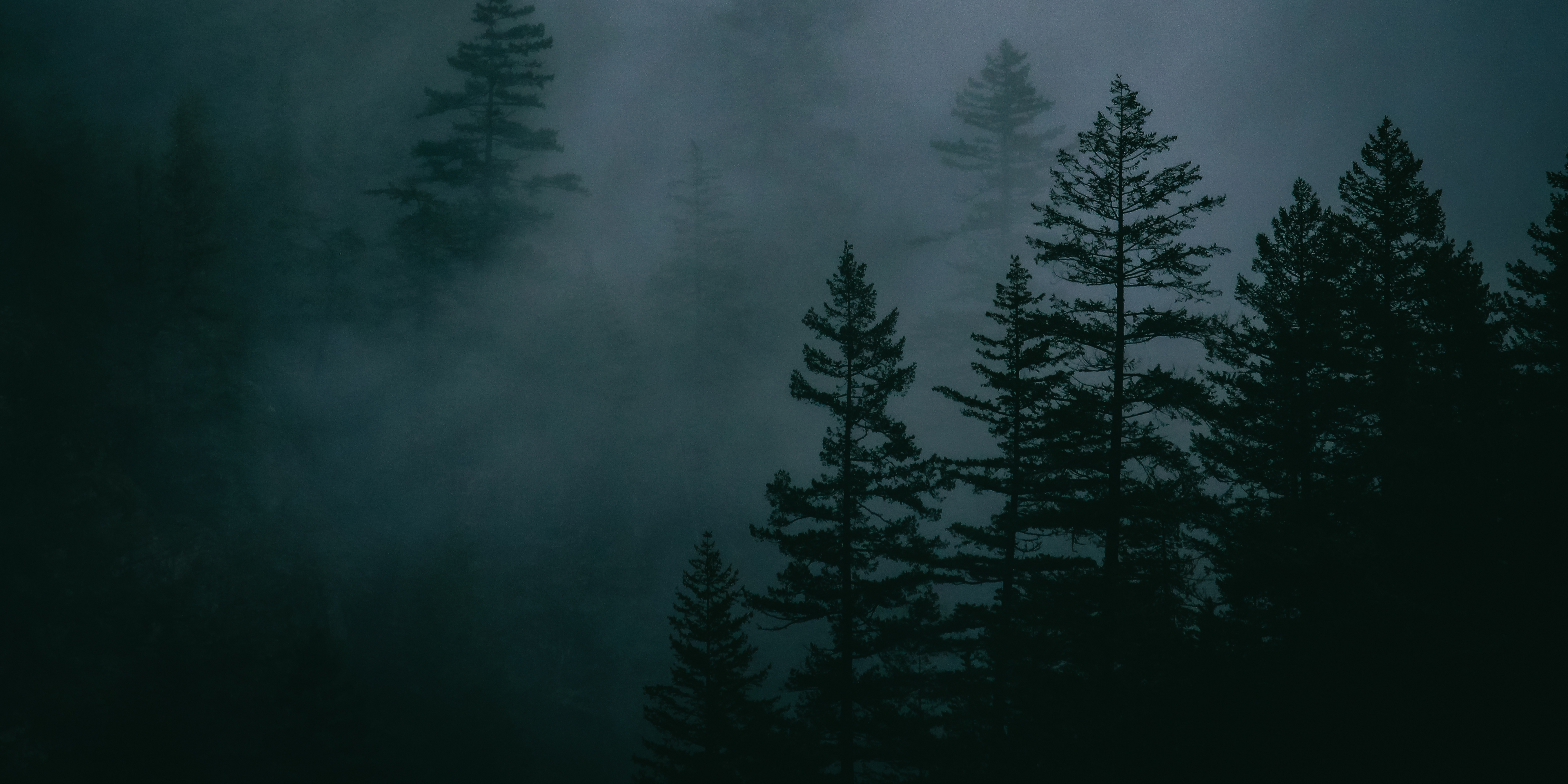 Twilight scene of an Oregon evergreen forest enveloped in dense mist, with dark silhouettes of trees fading into the fog.