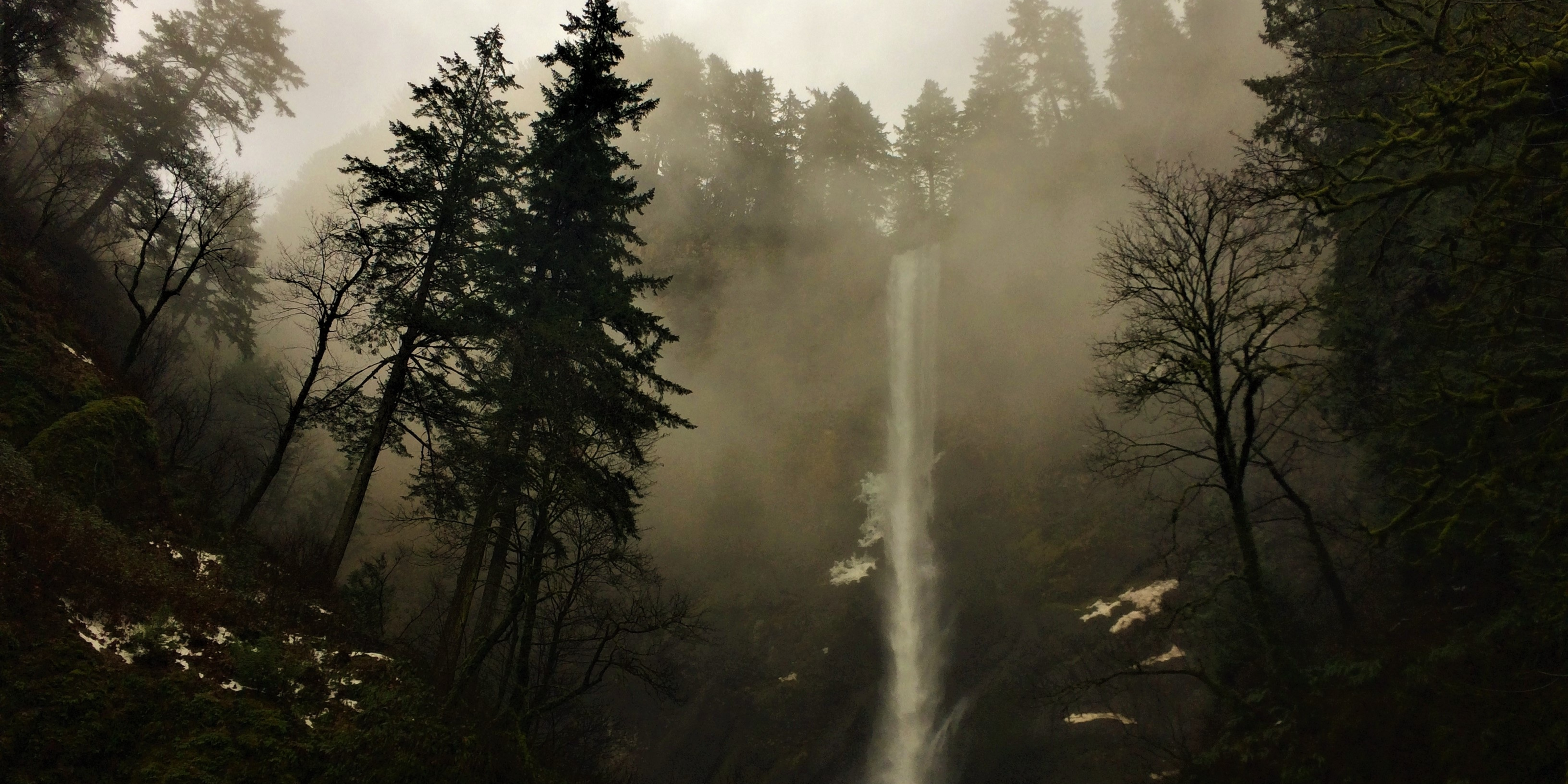 Lush Oregon evergreens surrounding a cascading waterfall, with dewy mist rising through the forest – inspiration for Stone & Stream Studio's nature-inspired jewelry.